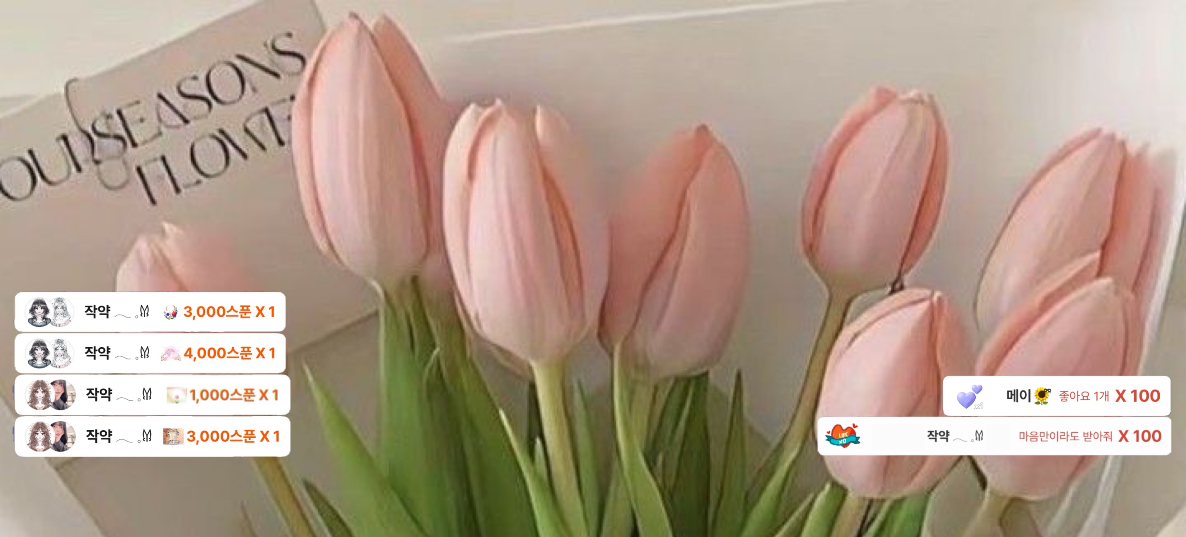 서아만 사랑하는 설 ⋆˚❅🐰