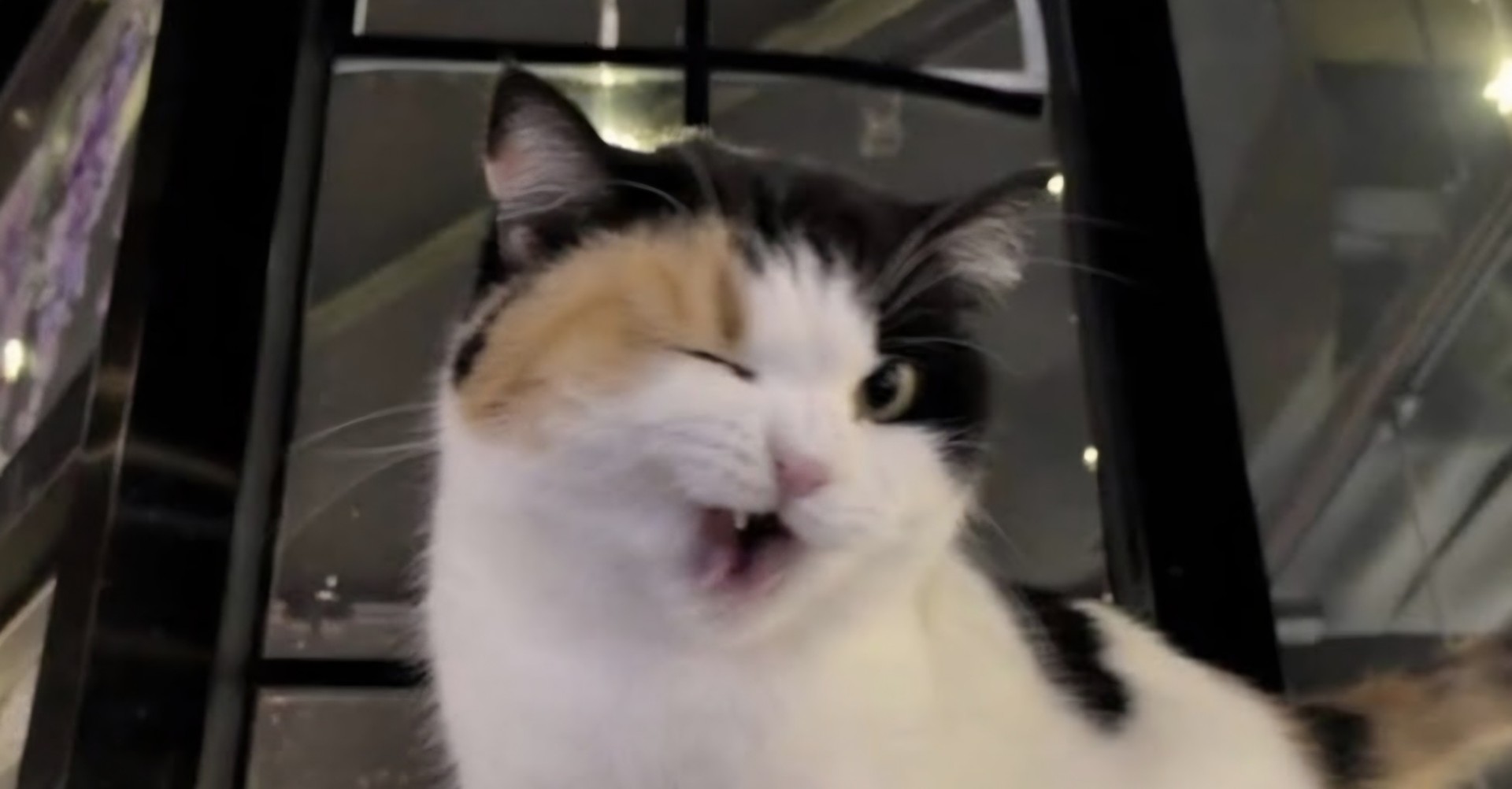 ๋ ๐๐