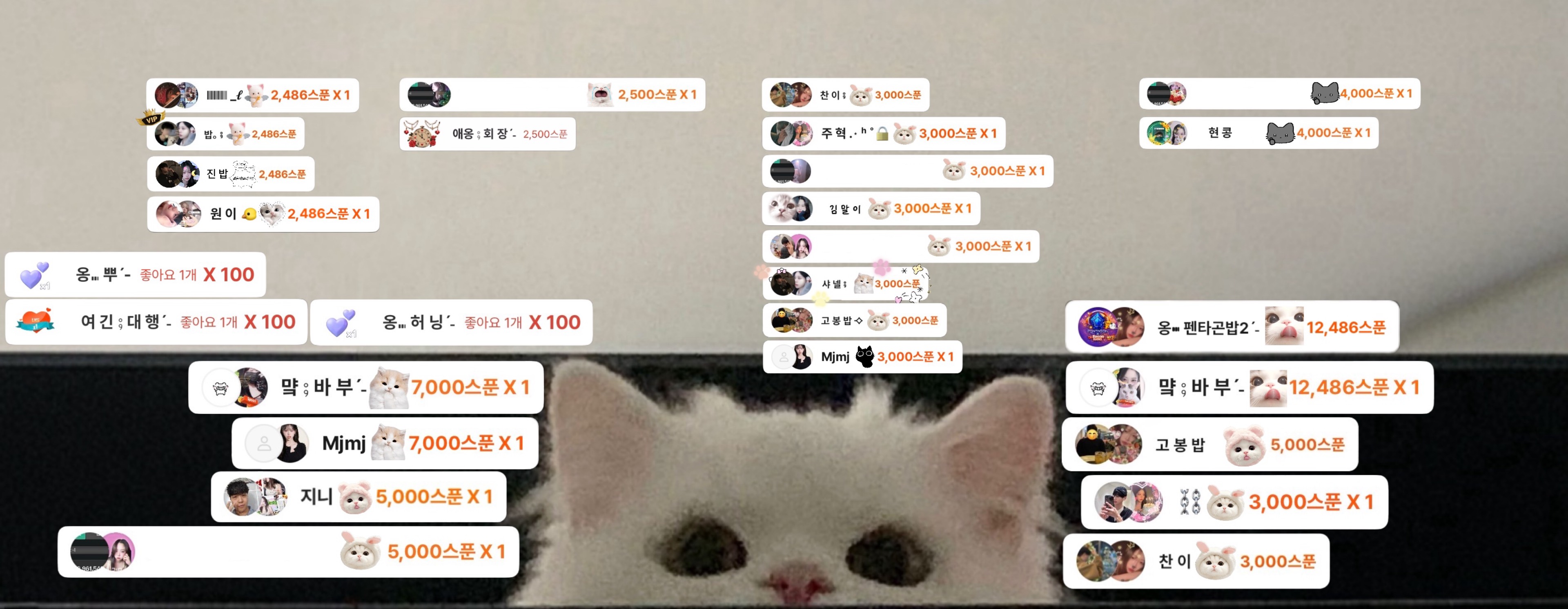 애 옹 ⨾ ྀིﾏฅ