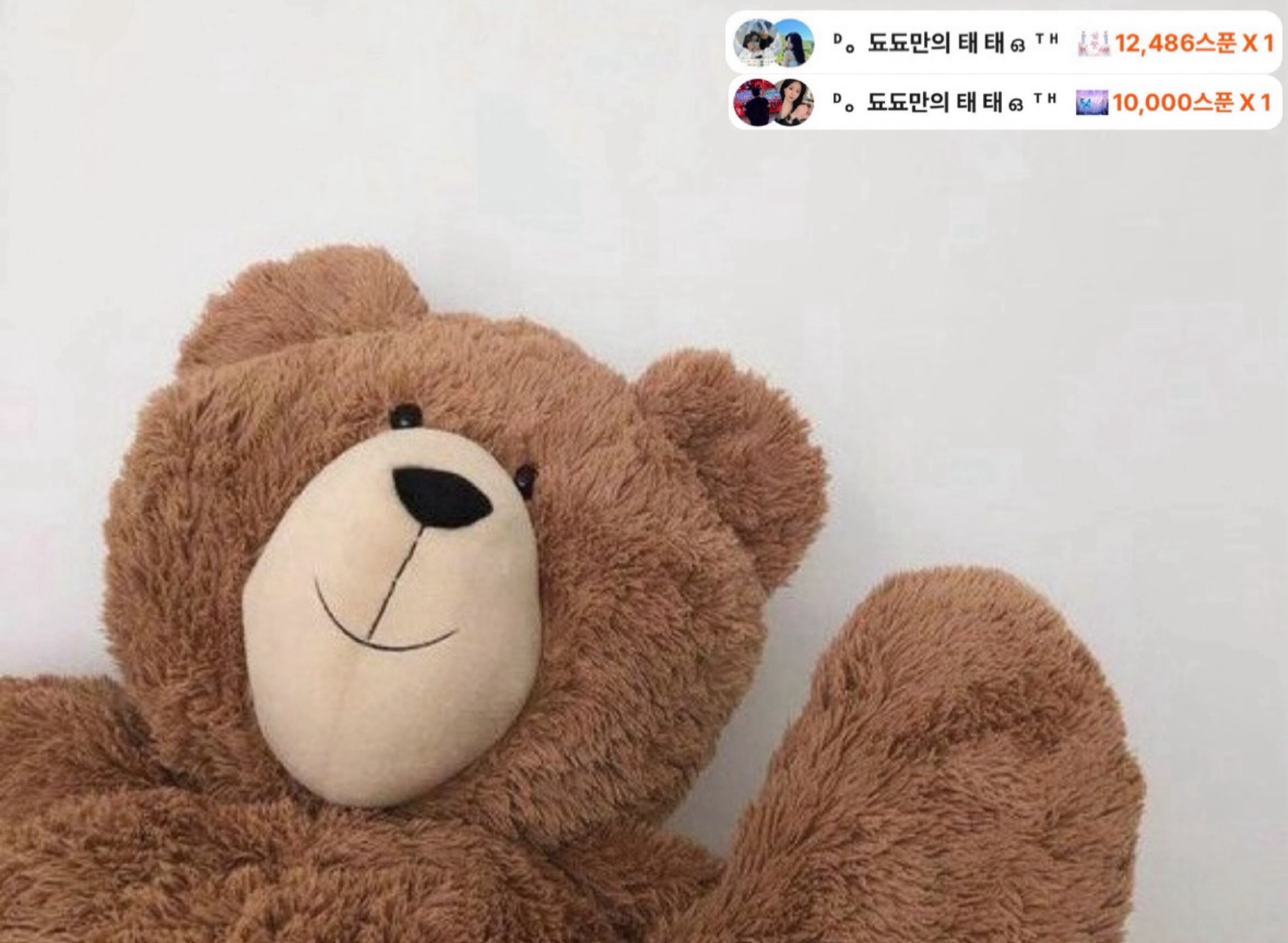 됴됴 ᴰ。