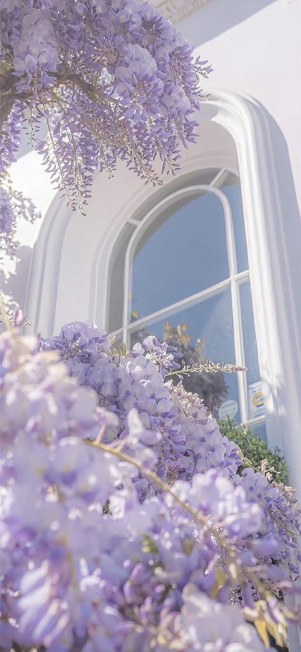 유빈설⊹🪻⊹