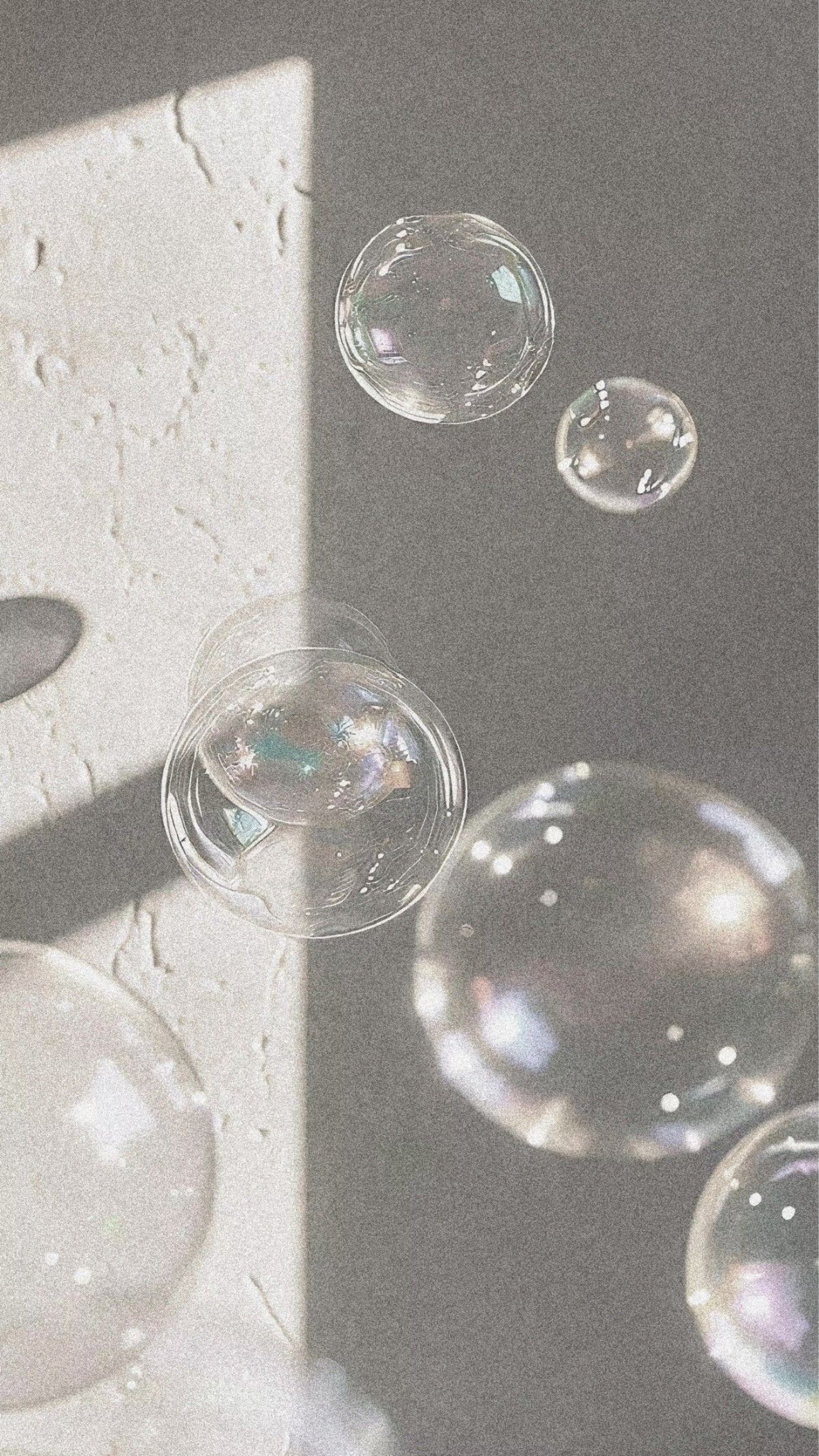 ♡₊ 새 얀