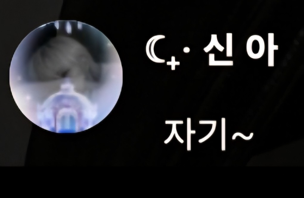 자 기 𓍯ོ
