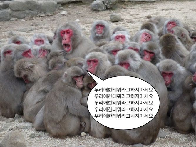 아영 ◟ₒₒ