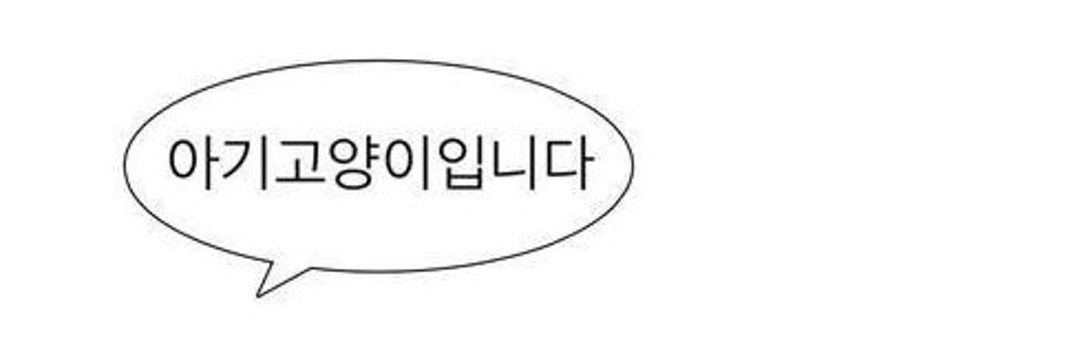 스푼 최고 바보 𝐜𝐚𝐭 🐾໊