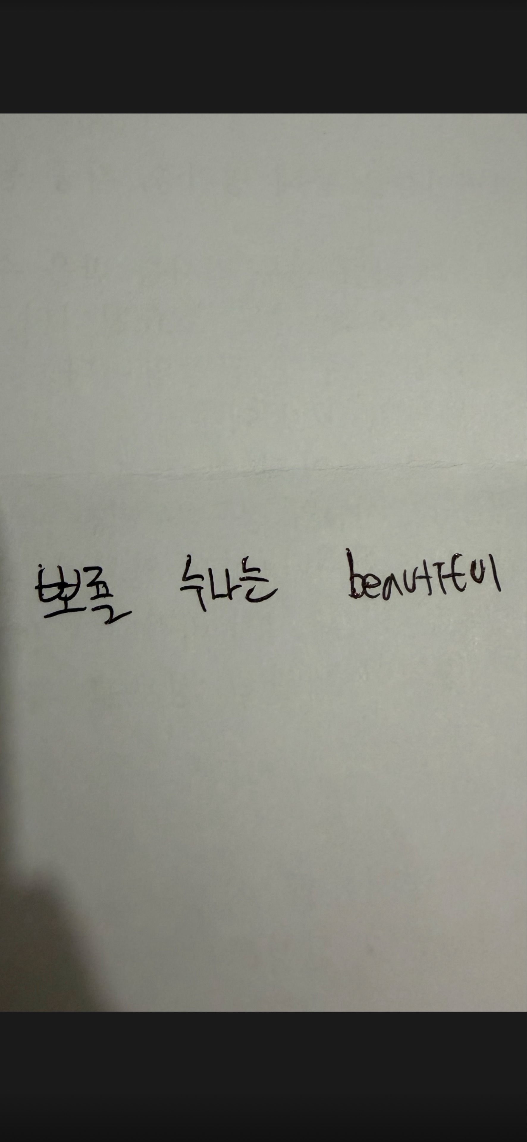 뽀룔