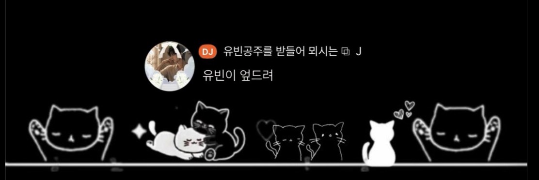 유 빈 𝐉°