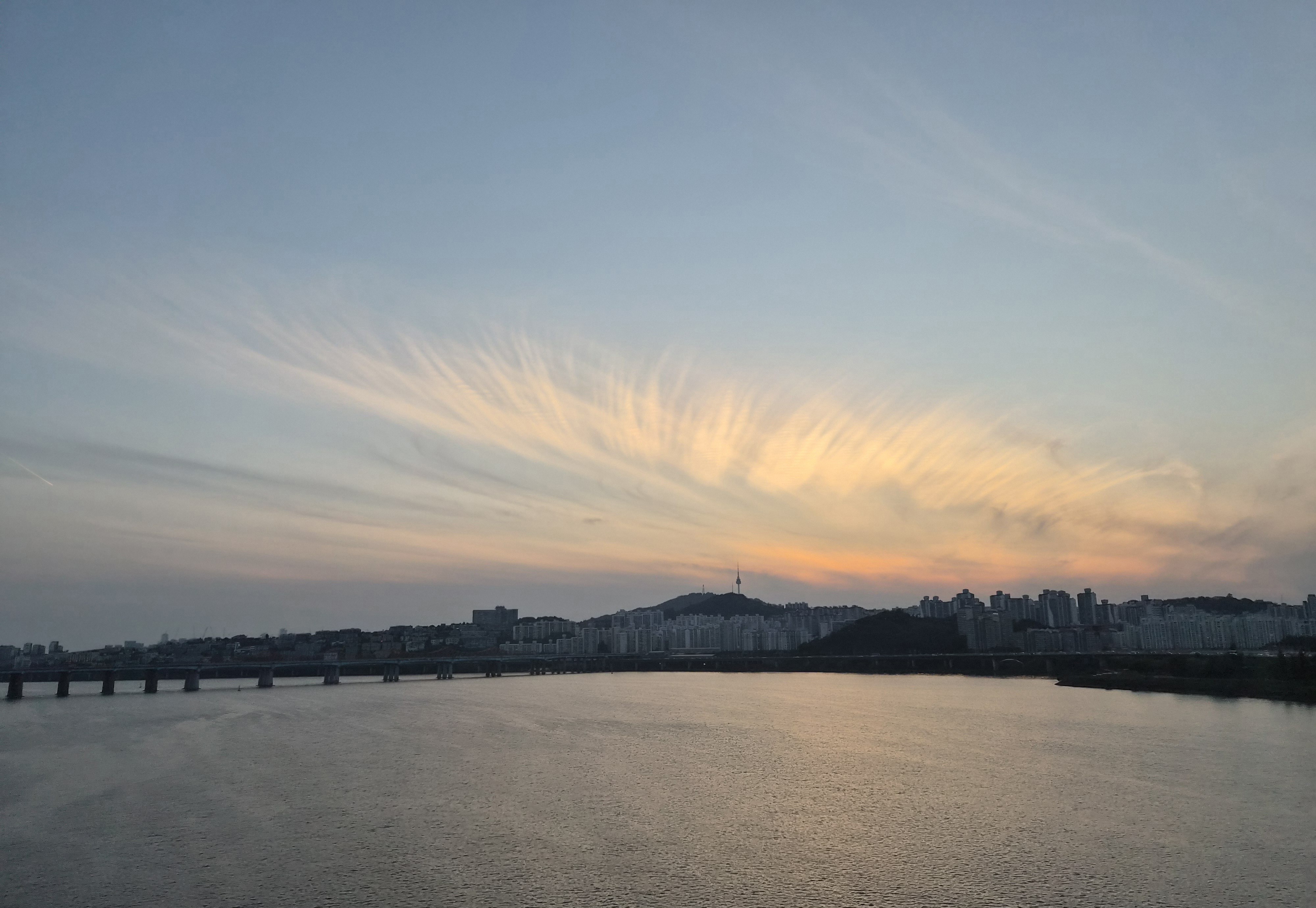 난초