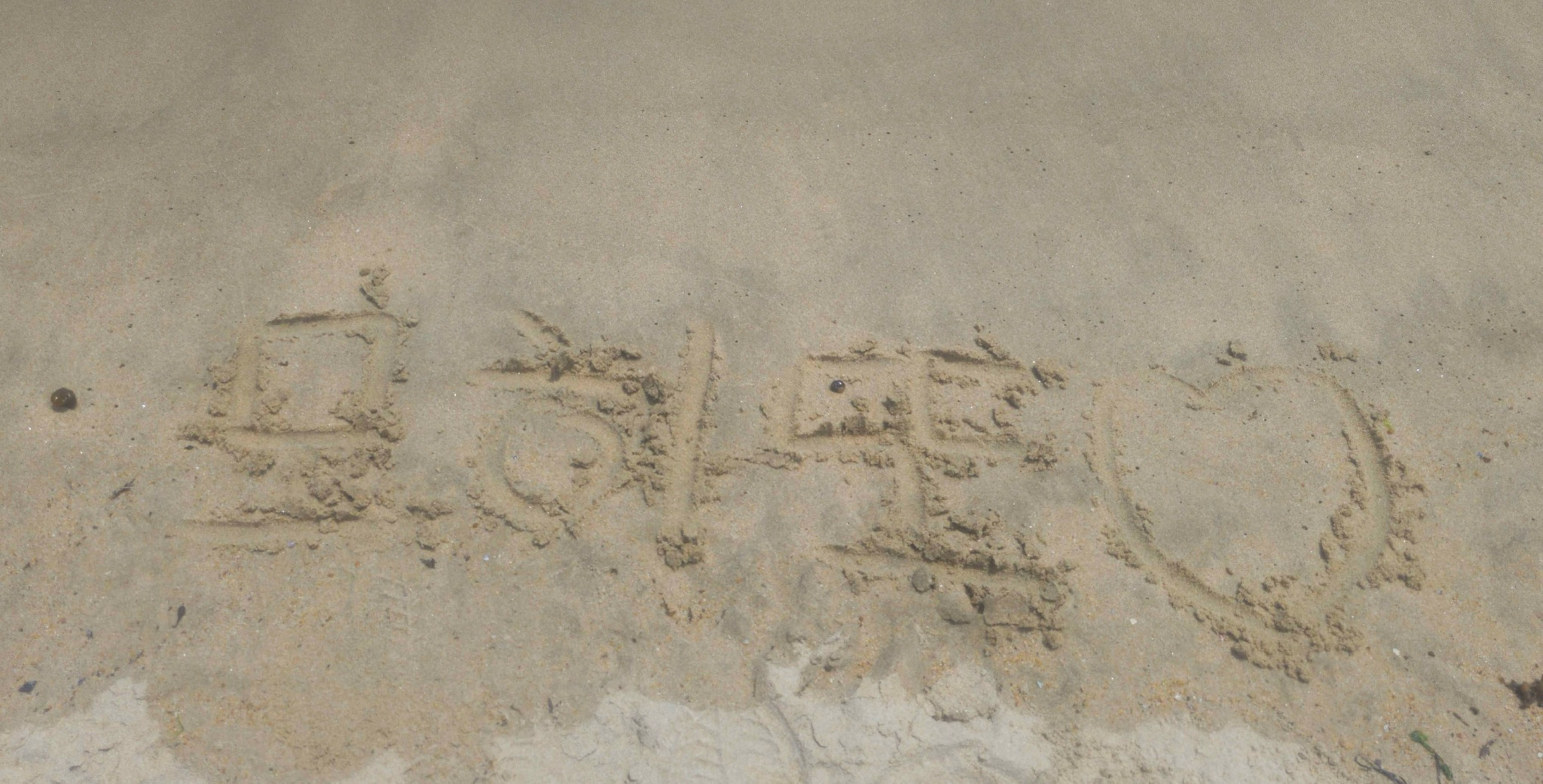 모히또