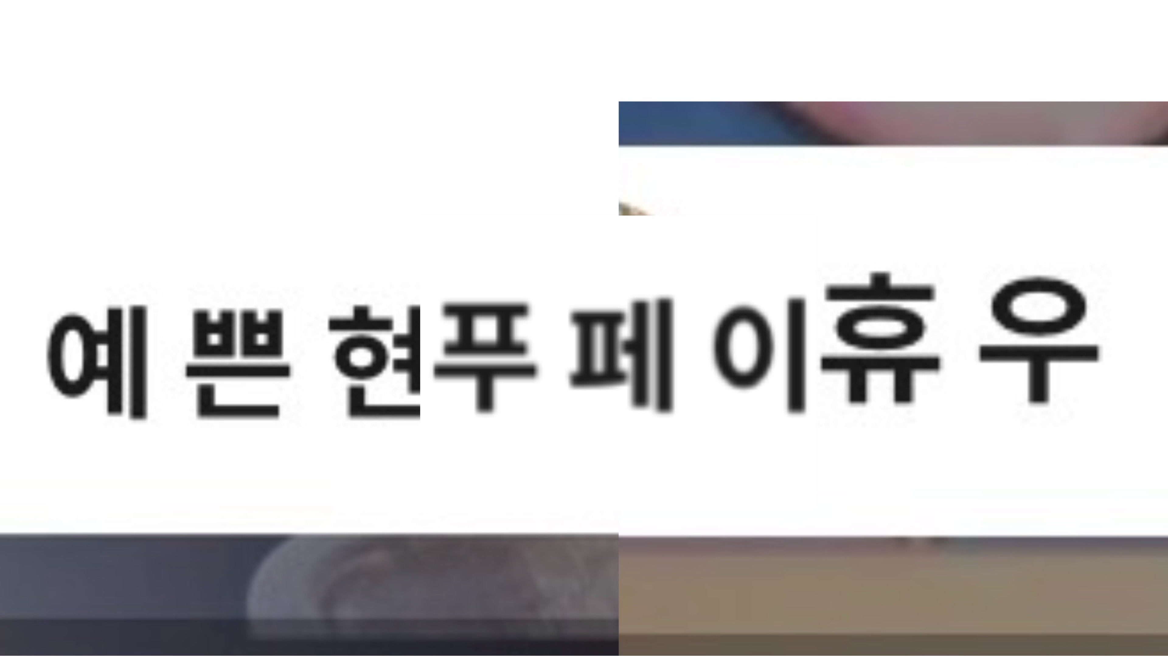 🏮 푸 린 🍶