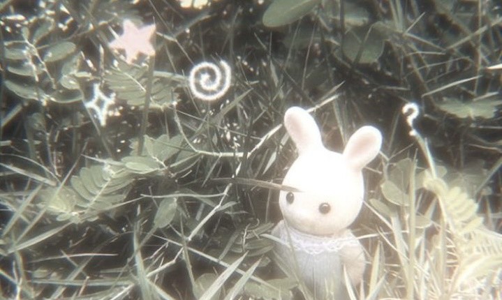 얀