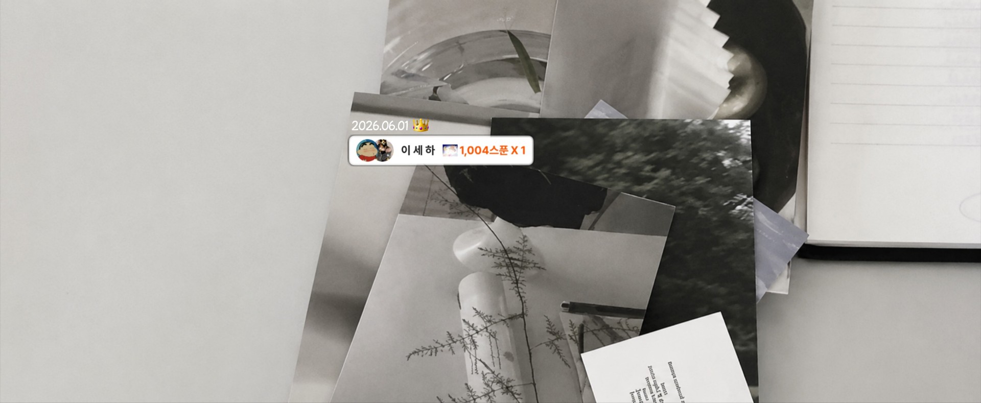 연 온 ˚₊ ✴︎