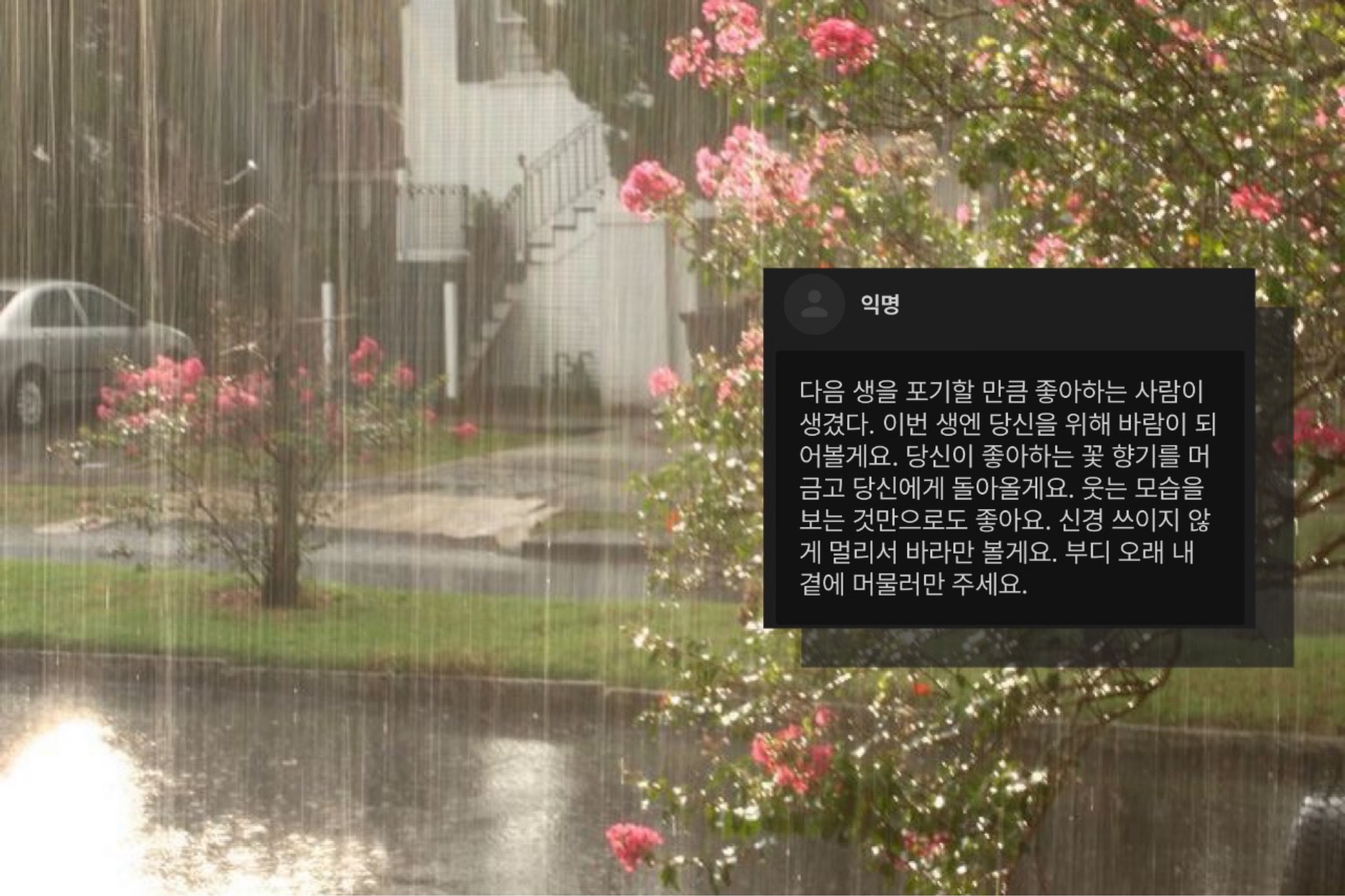 새 하