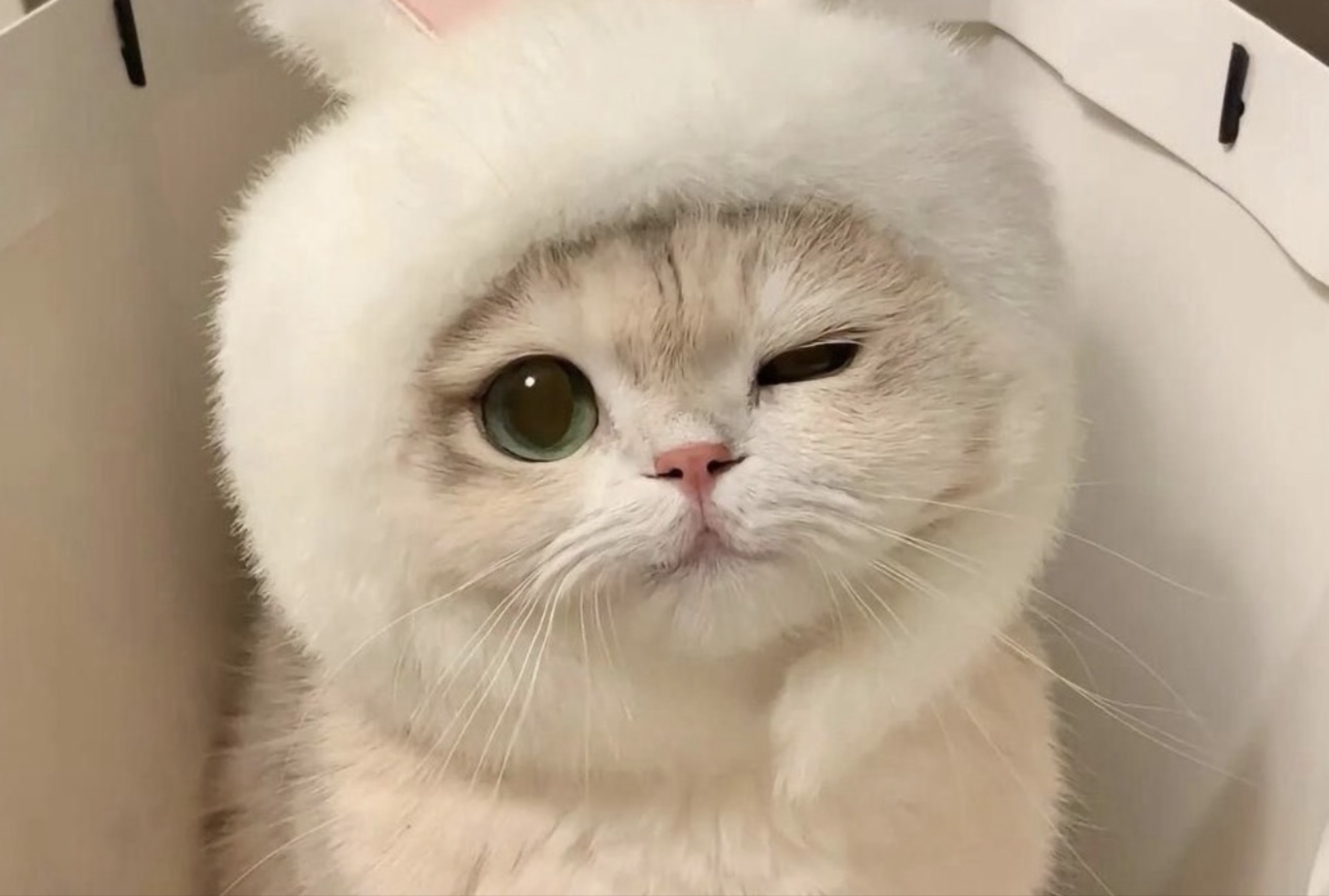 우주링⋆☽