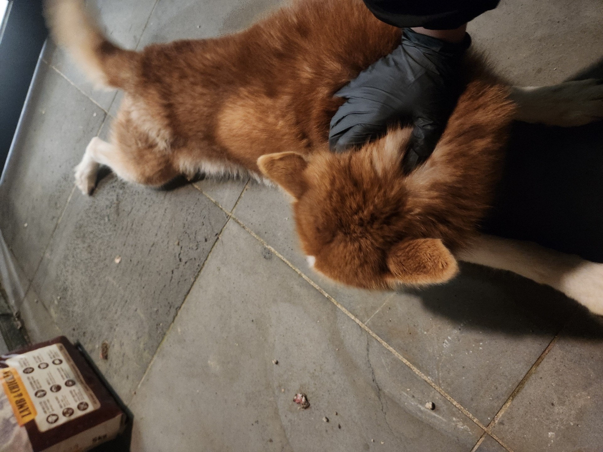 혀 기 야 ﾏฅ