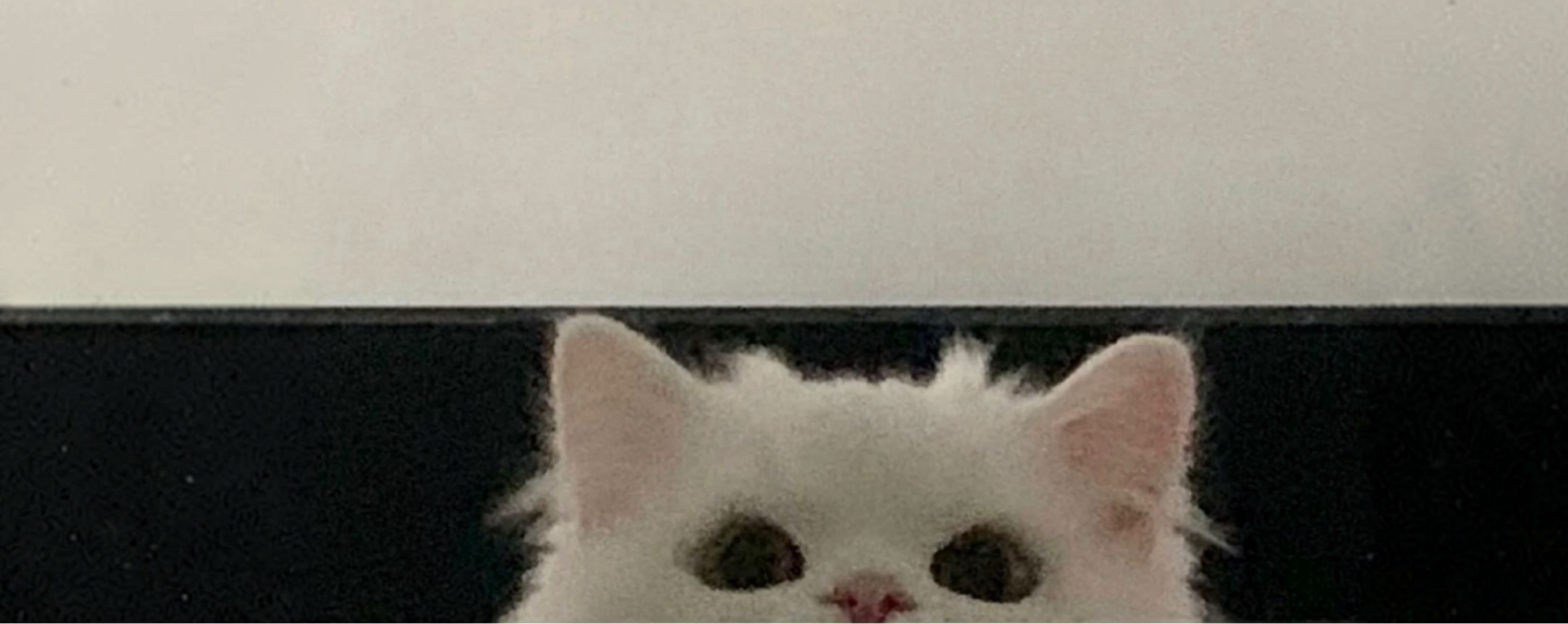 애 옹 ⨾ ྀིマฅ