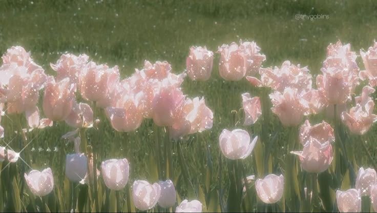 ᴱⱽ반장ʰʸ✿