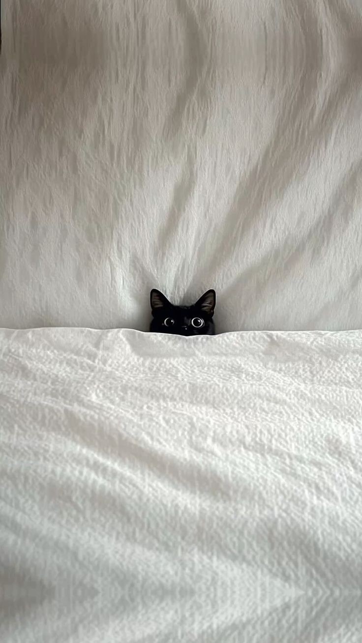 쮸 ̀⁽ᵕ̈⁾ ́