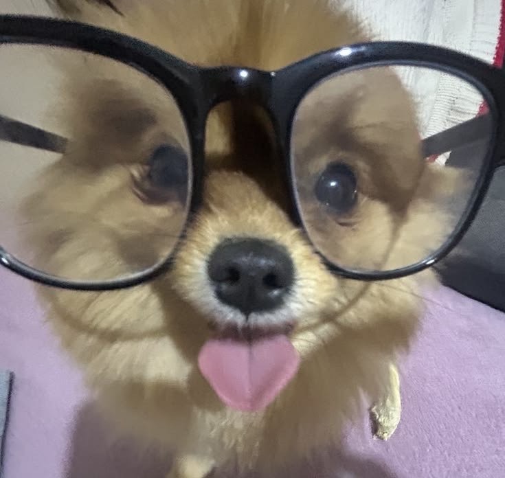 느낌표