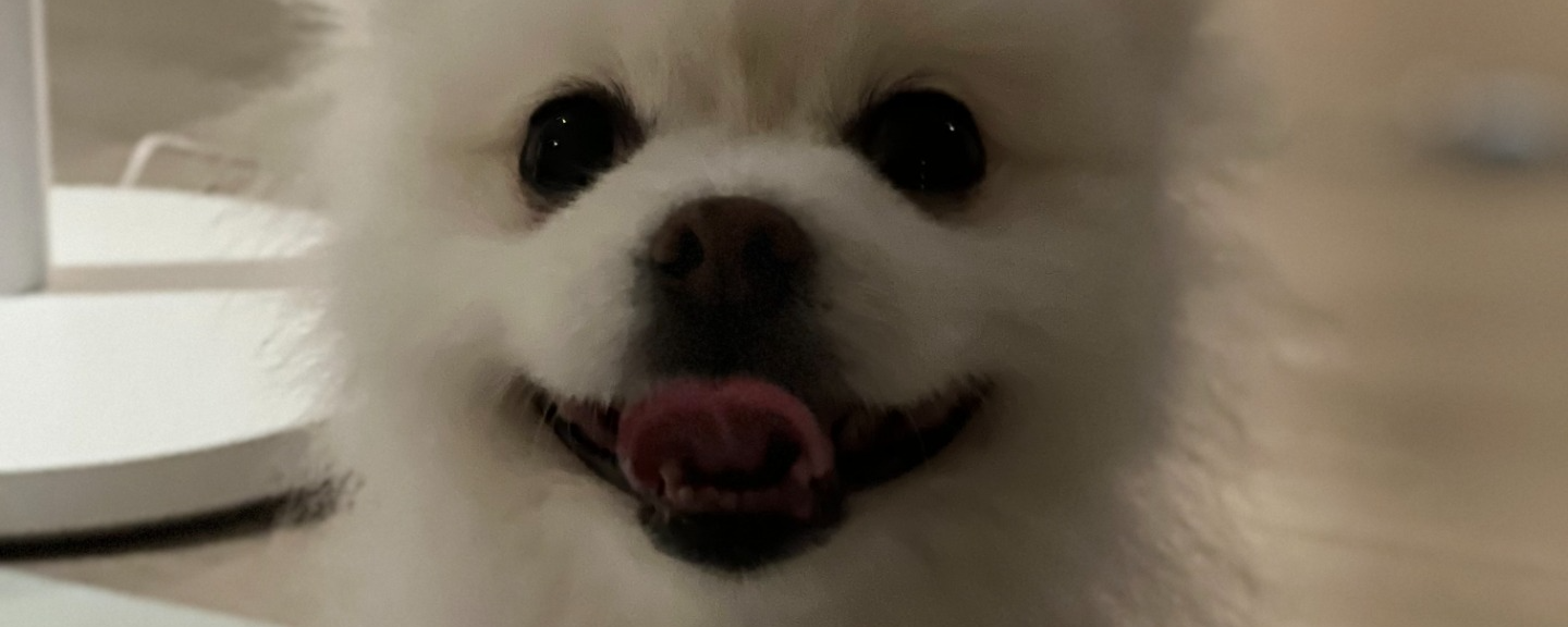 하 니 ❤︎