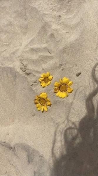 정 이 .·͙☽
