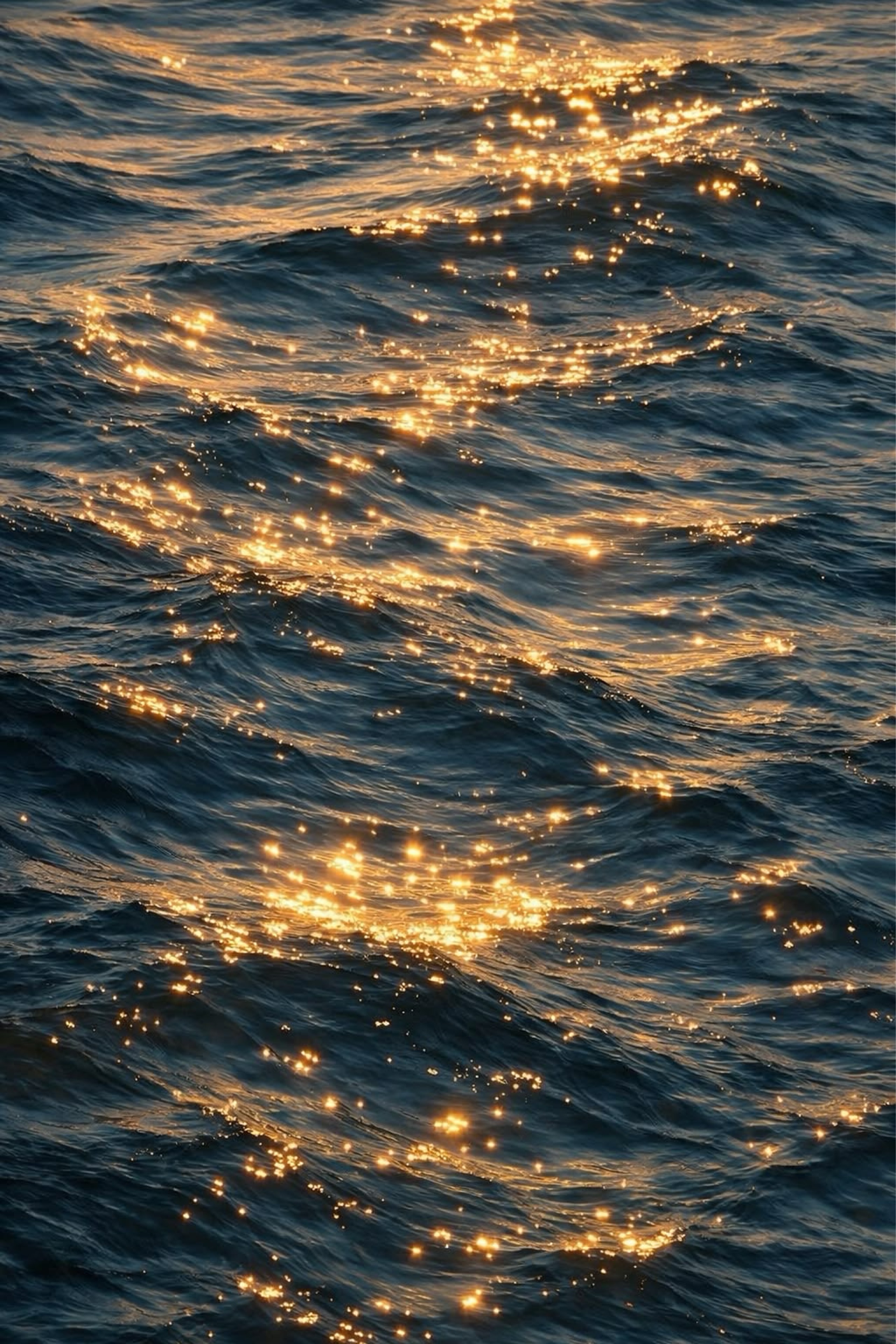 뮤