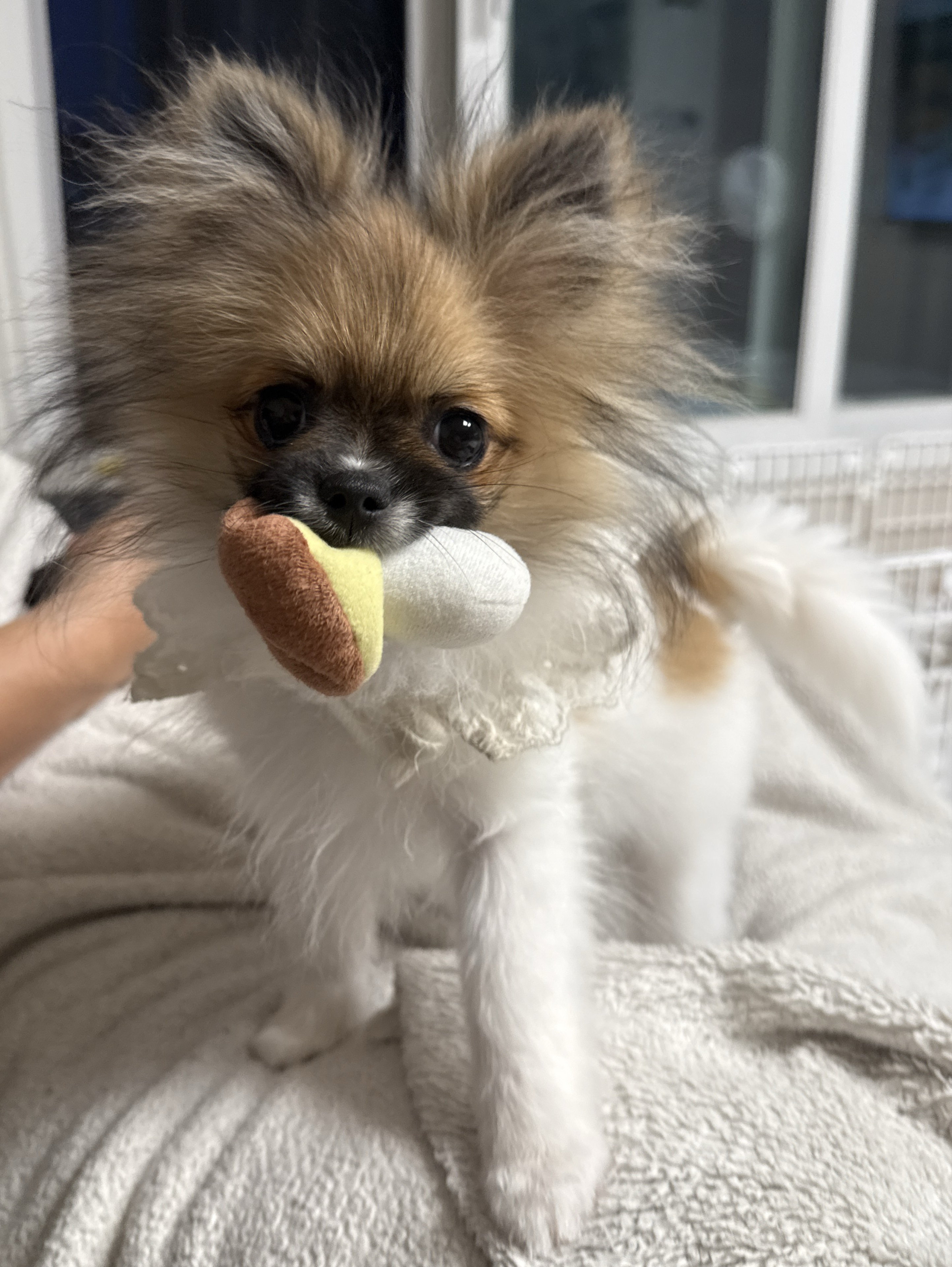 ᴰ。♡  ᴰ。