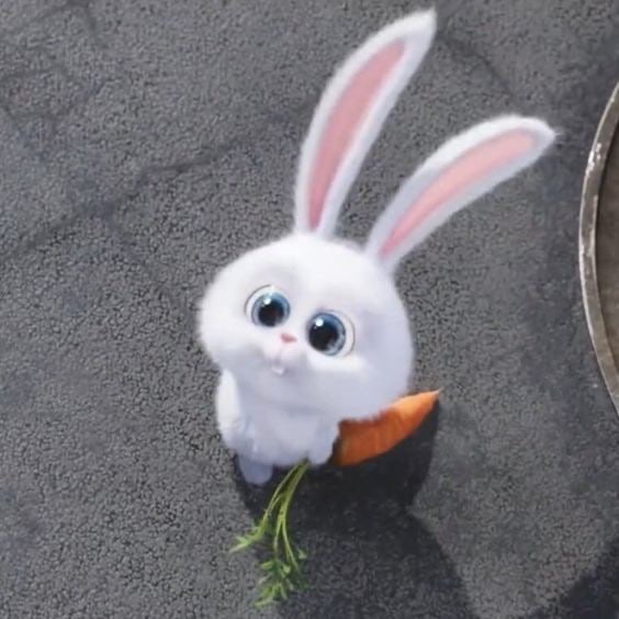 포야 ᵖᵒ˚