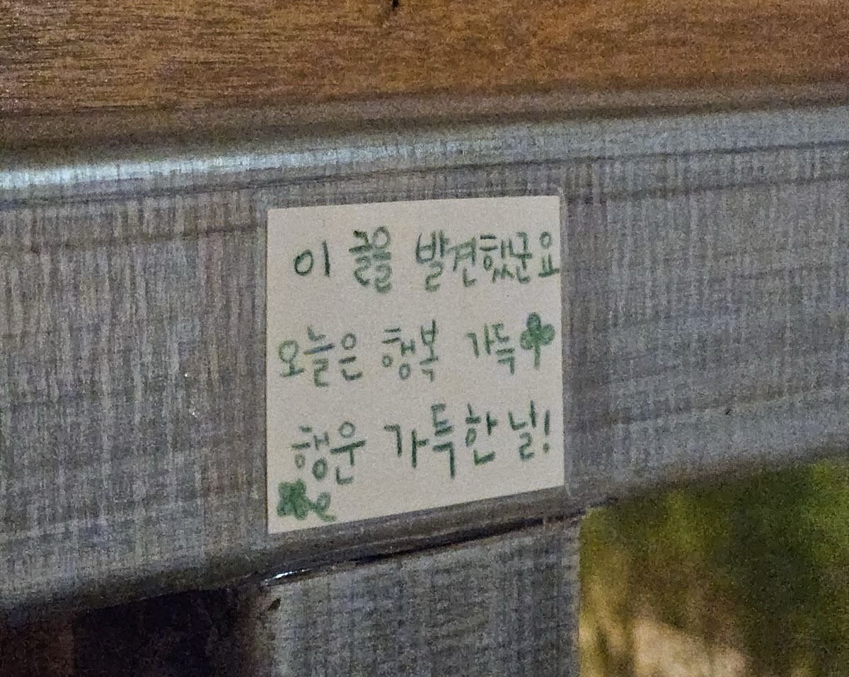 이브 🎈
