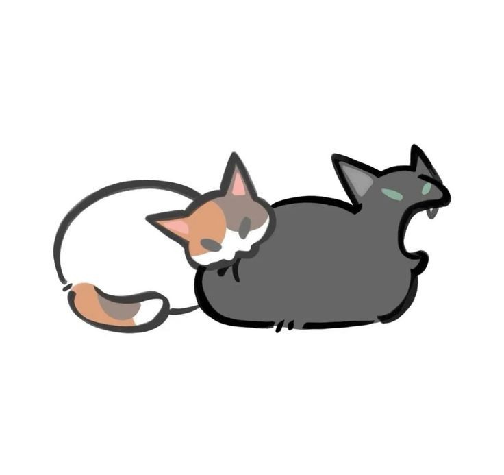 이 리 .͙·✩