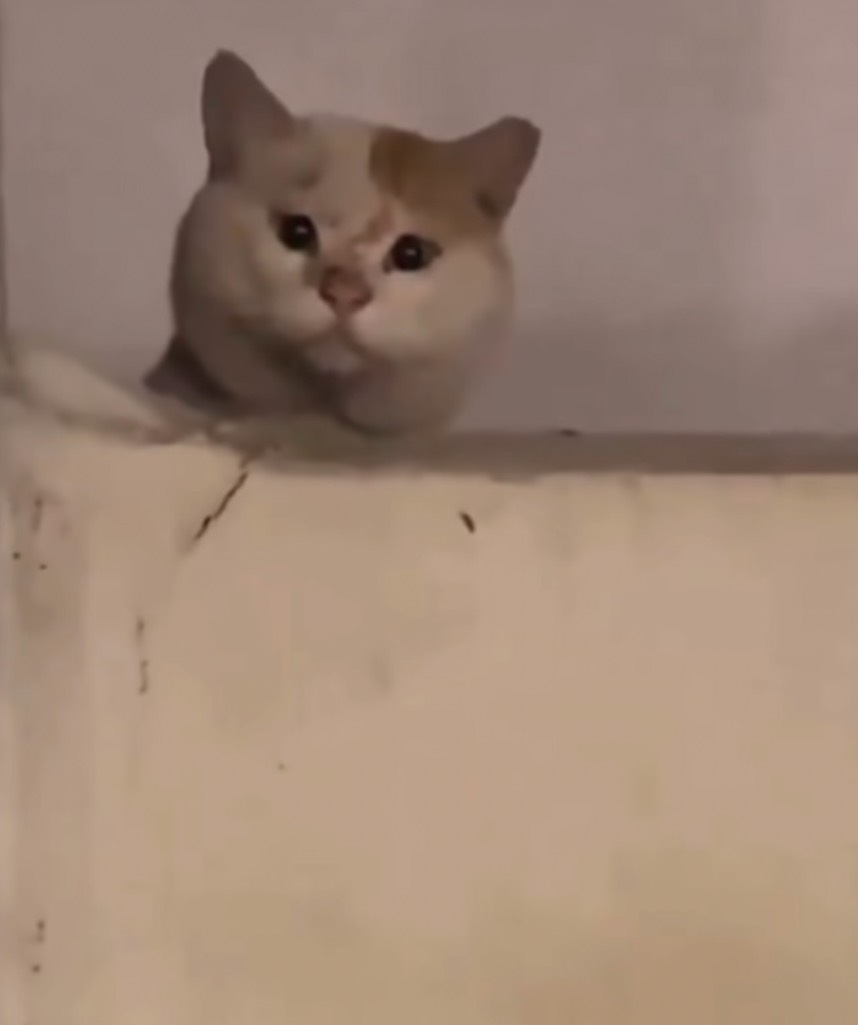 ㅈ ㅣ나