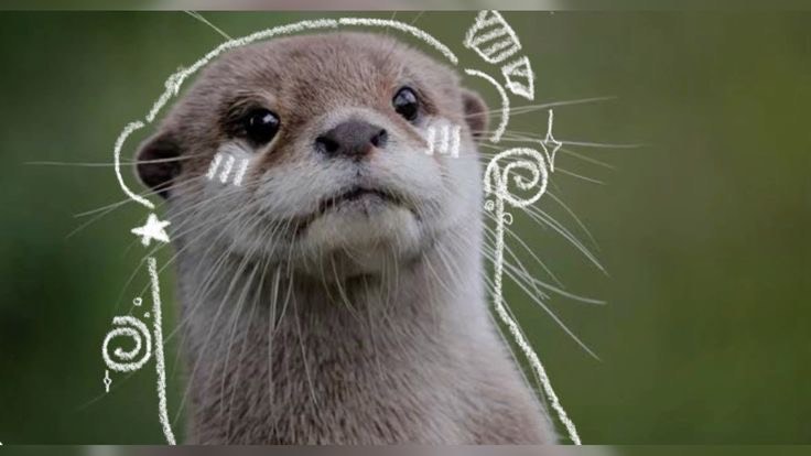 은유