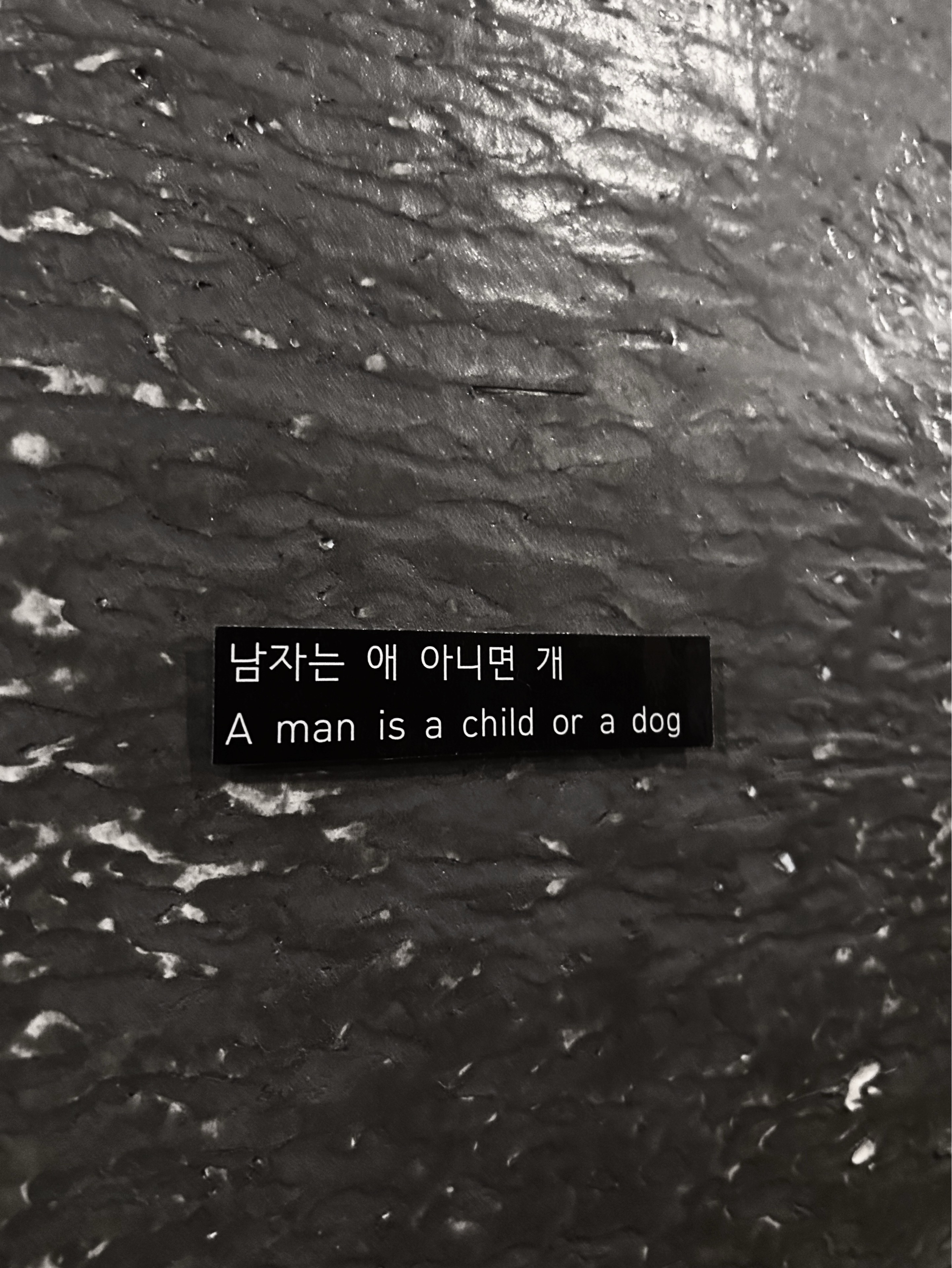 무 제