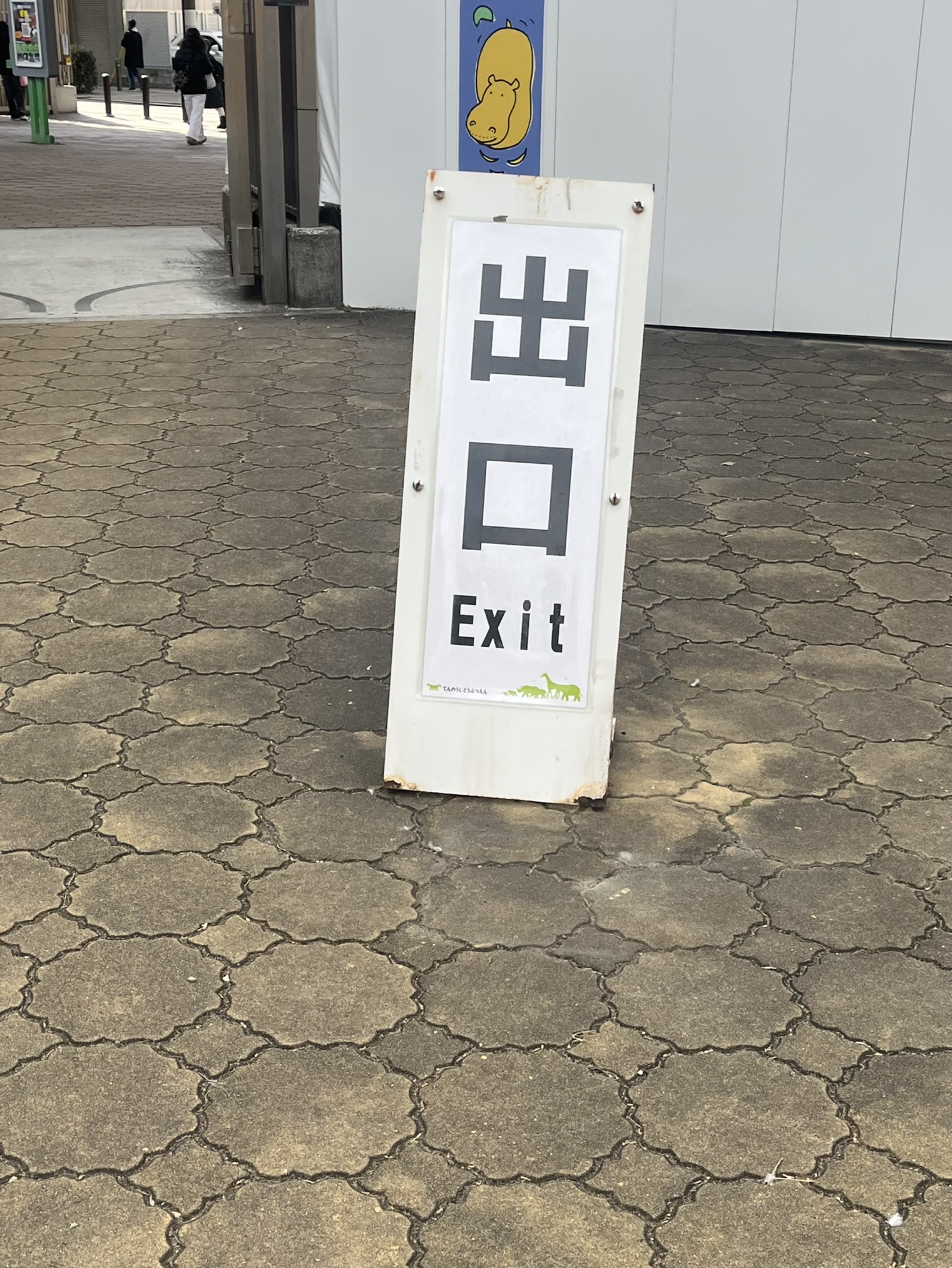 259 𝓎