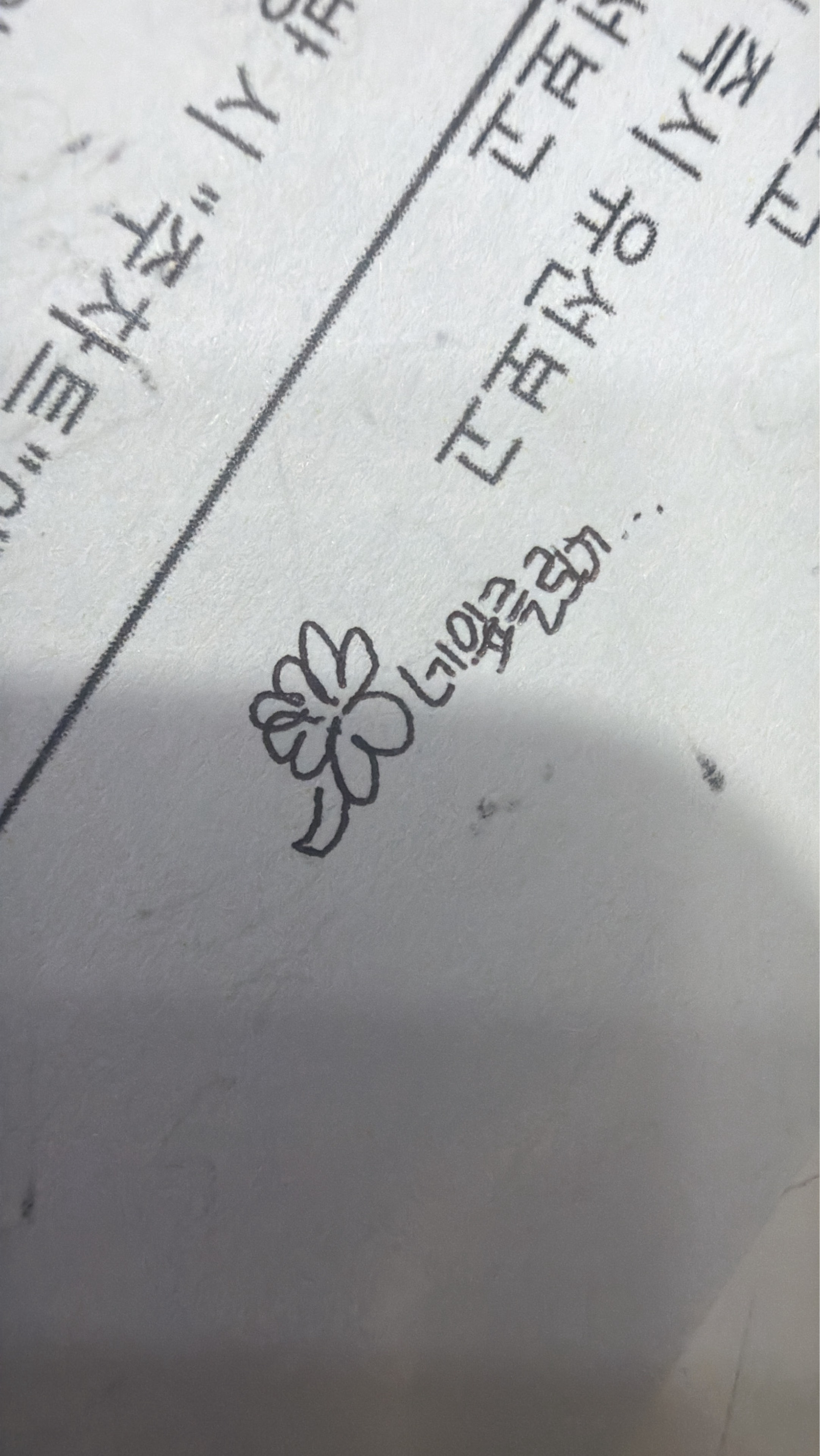 · ₊ ˚✿ 지수