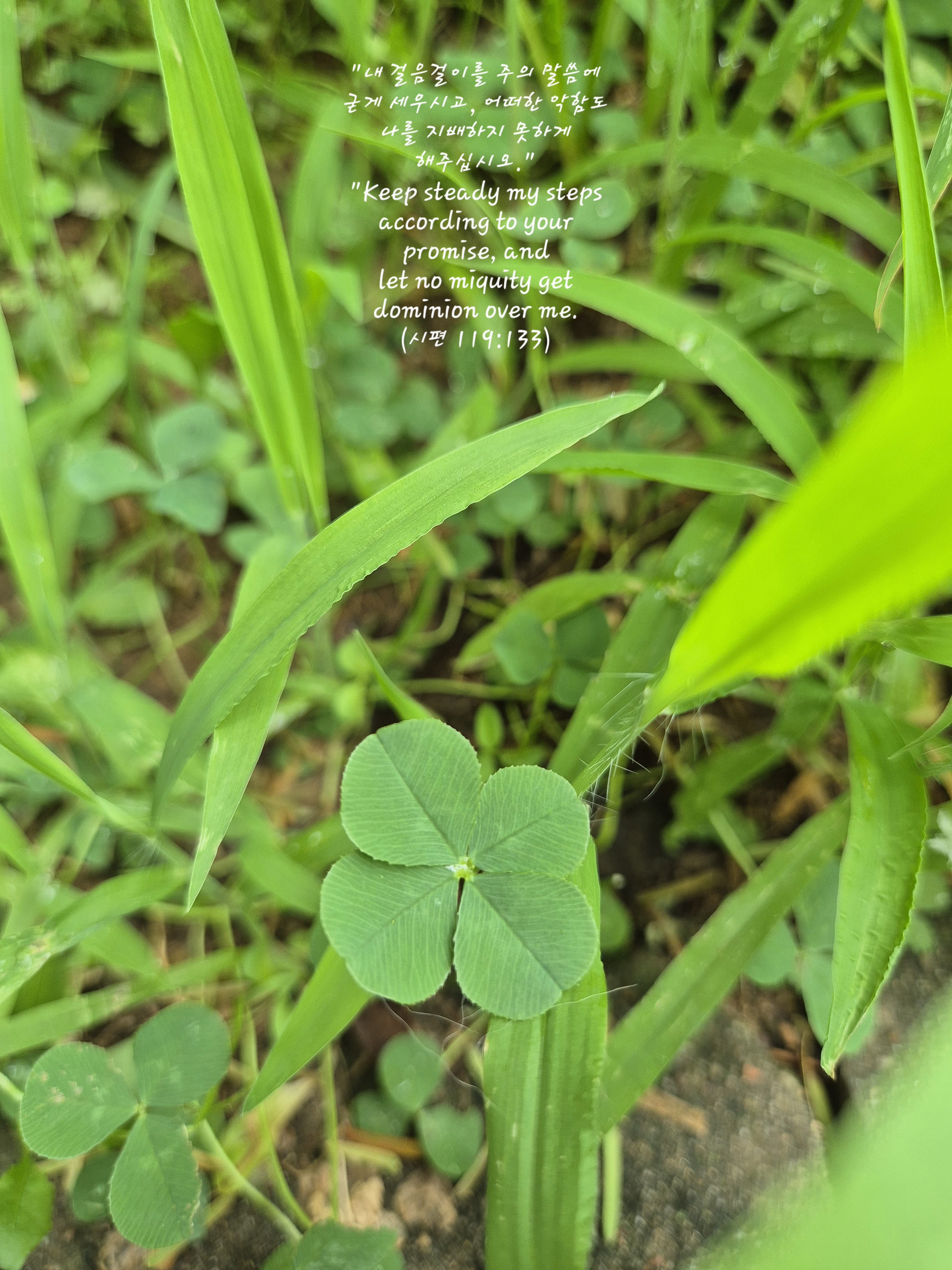 춈🍀 