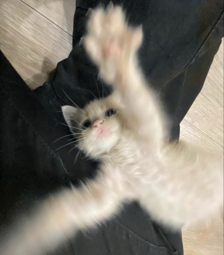 욘