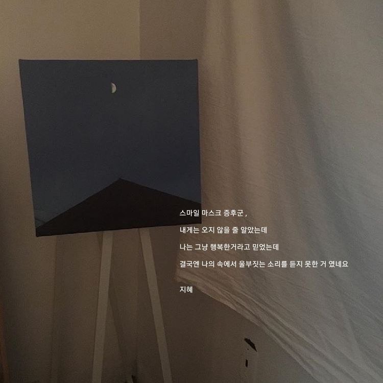 보 예