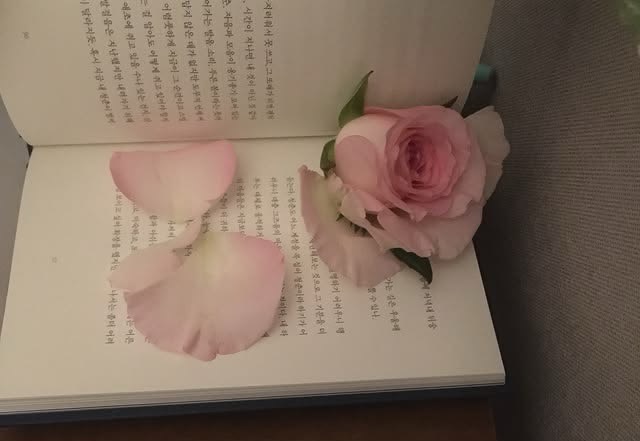 핱으