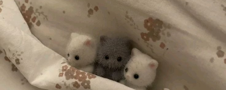 지 영