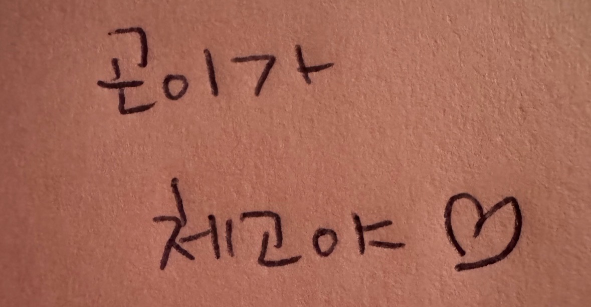 곤 ꪔ̤̫✤