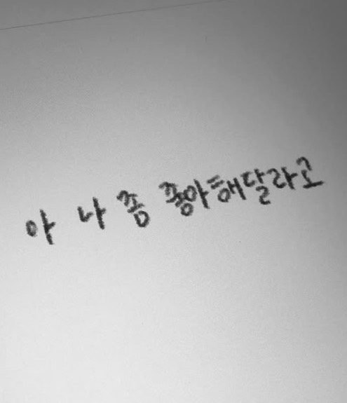 묘아(ෆ⸒⸒)