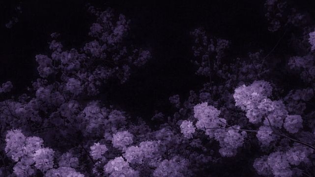 縁  ᴴᴿ♡̌̈