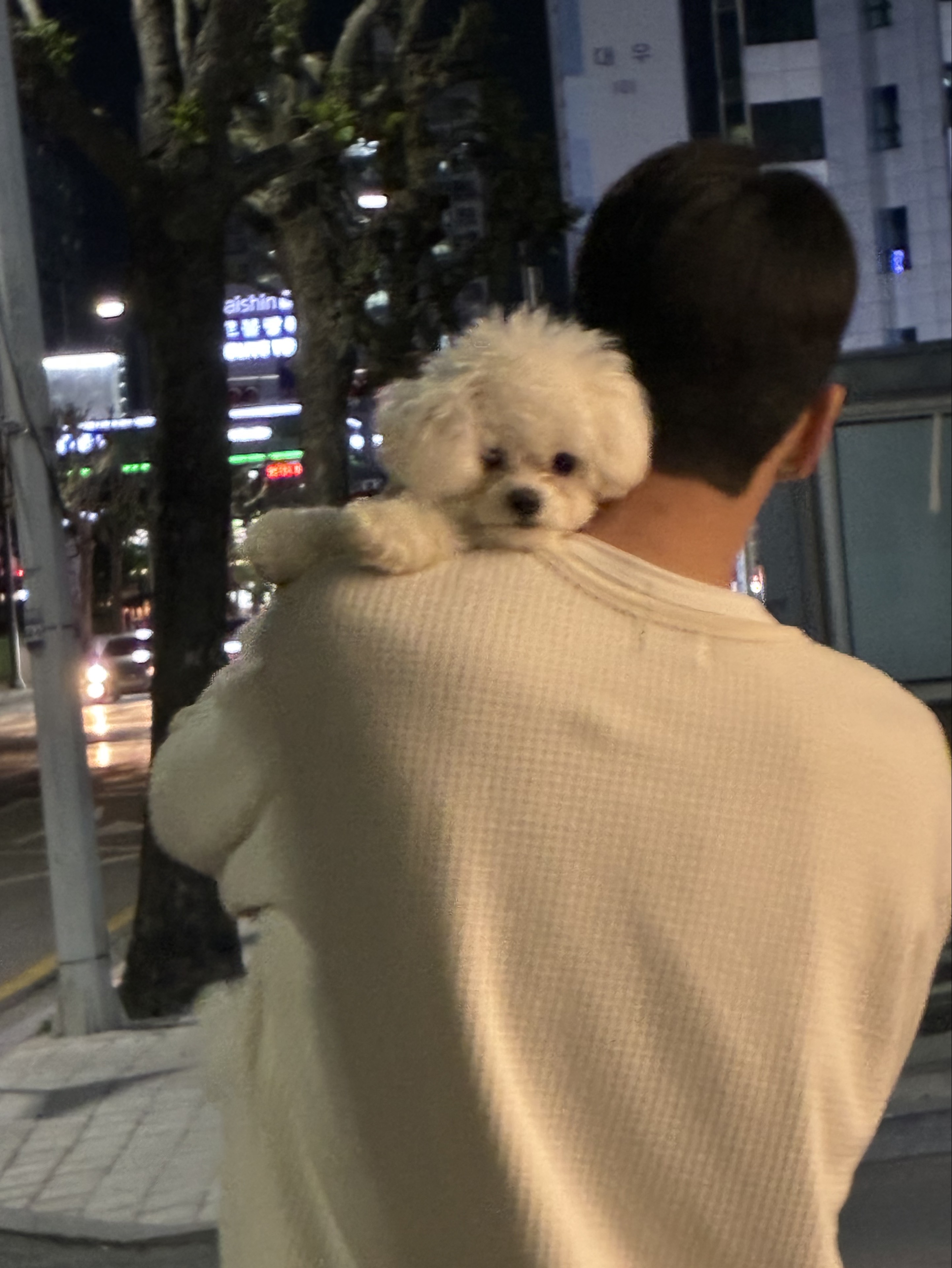 세 진