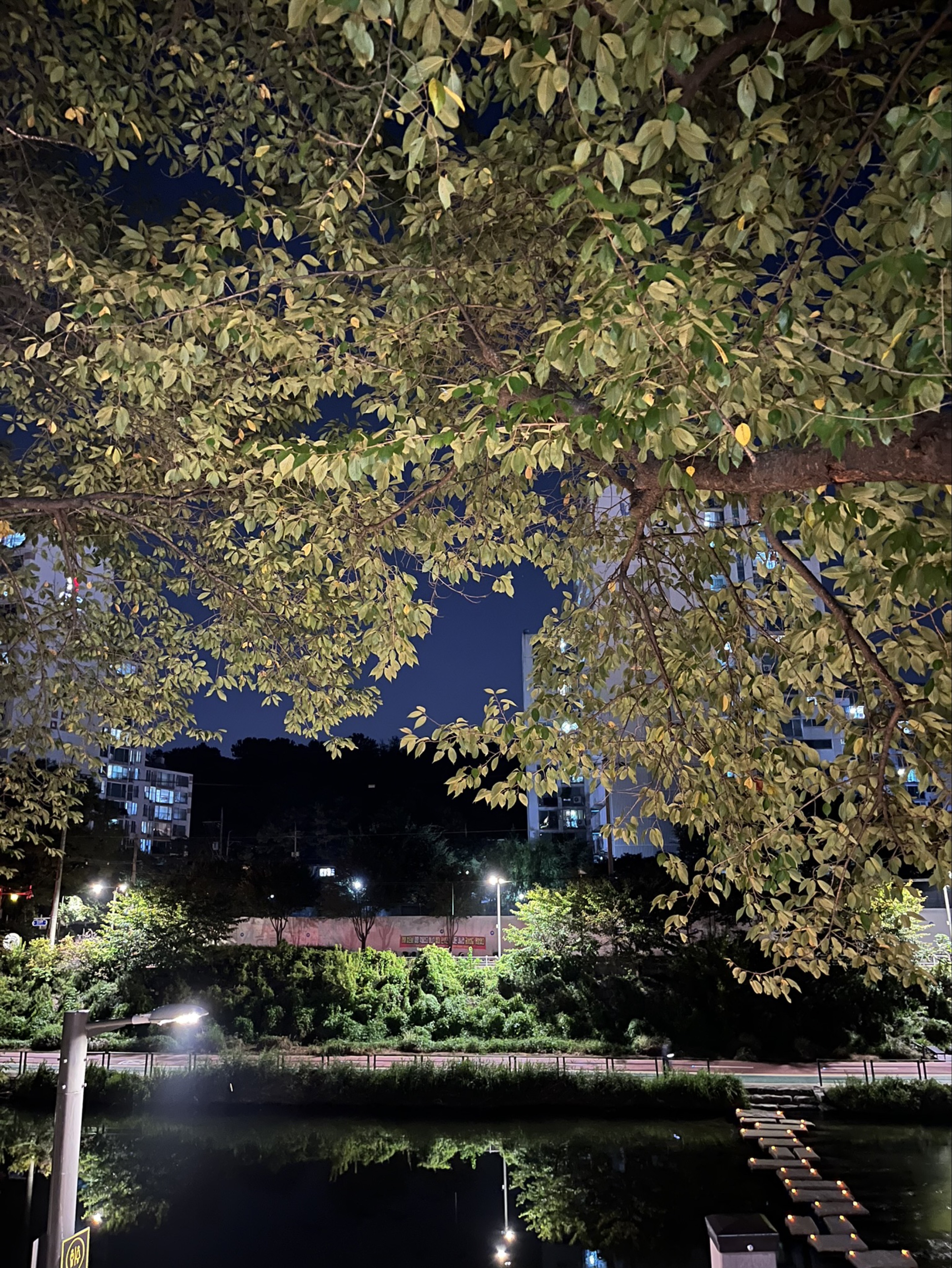 찐따인프피