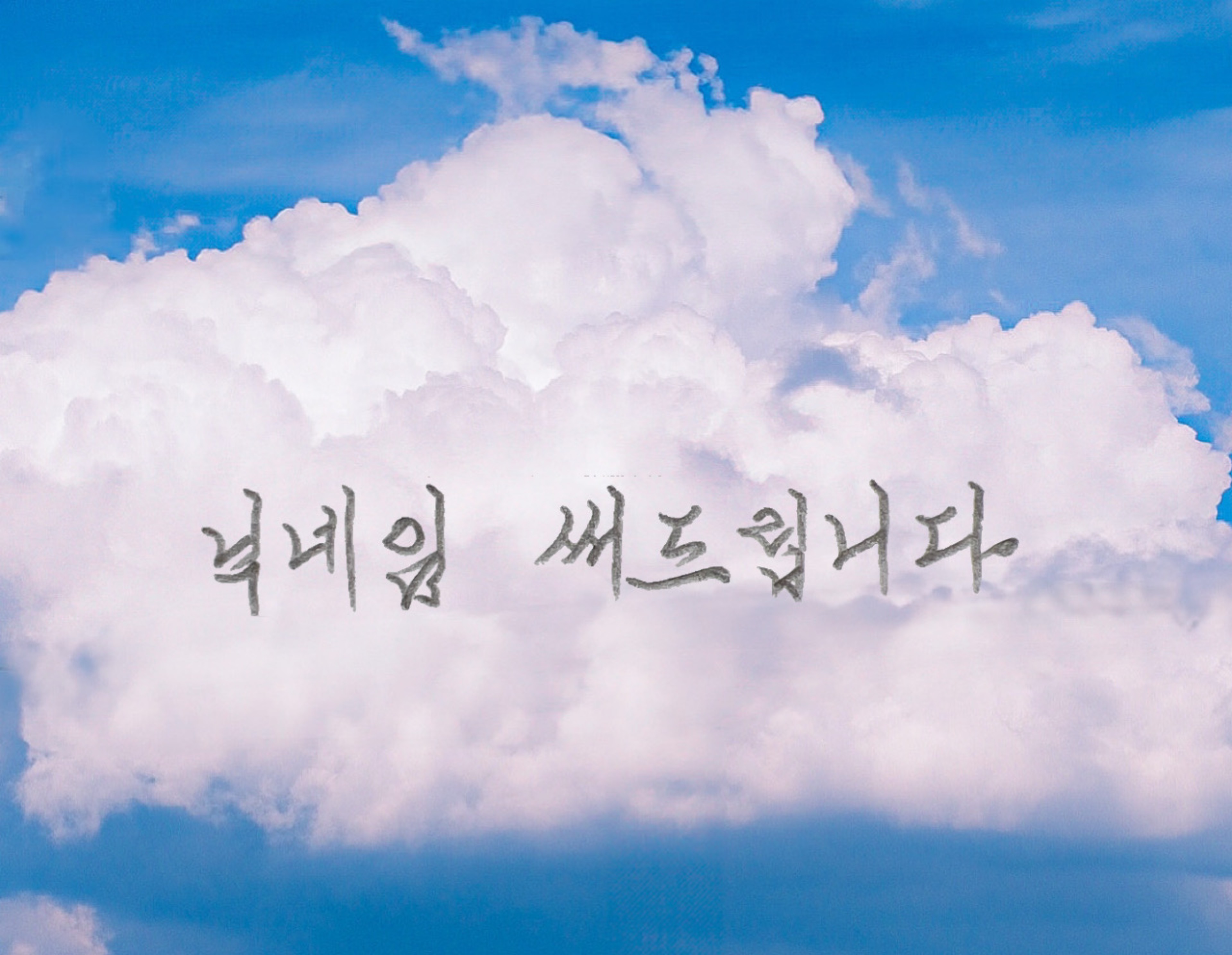 닉네임 써드립니다