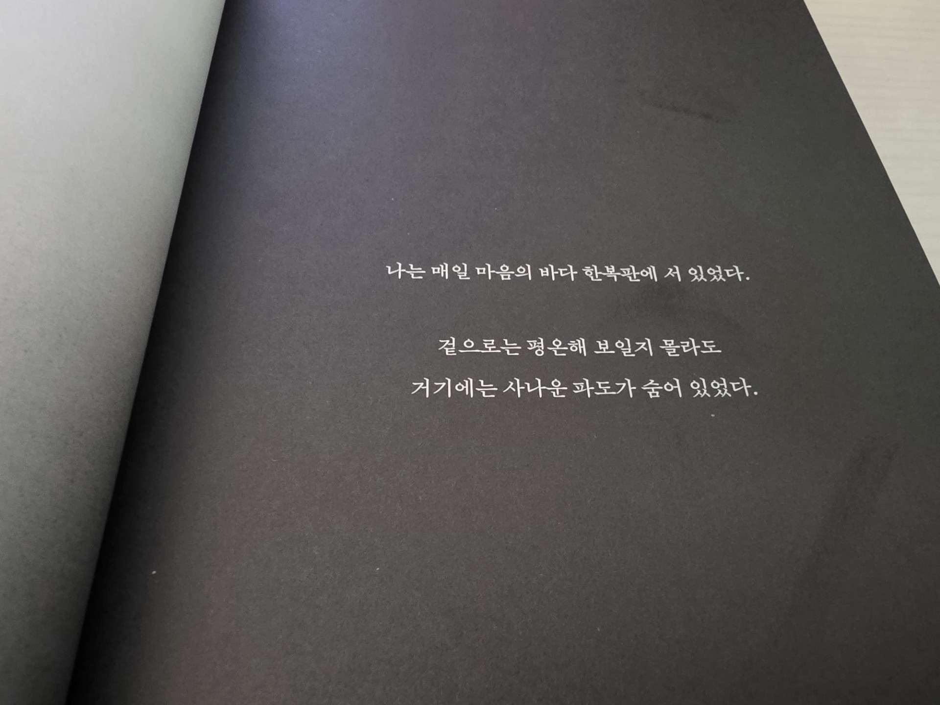 메레디스의 법사 📖 