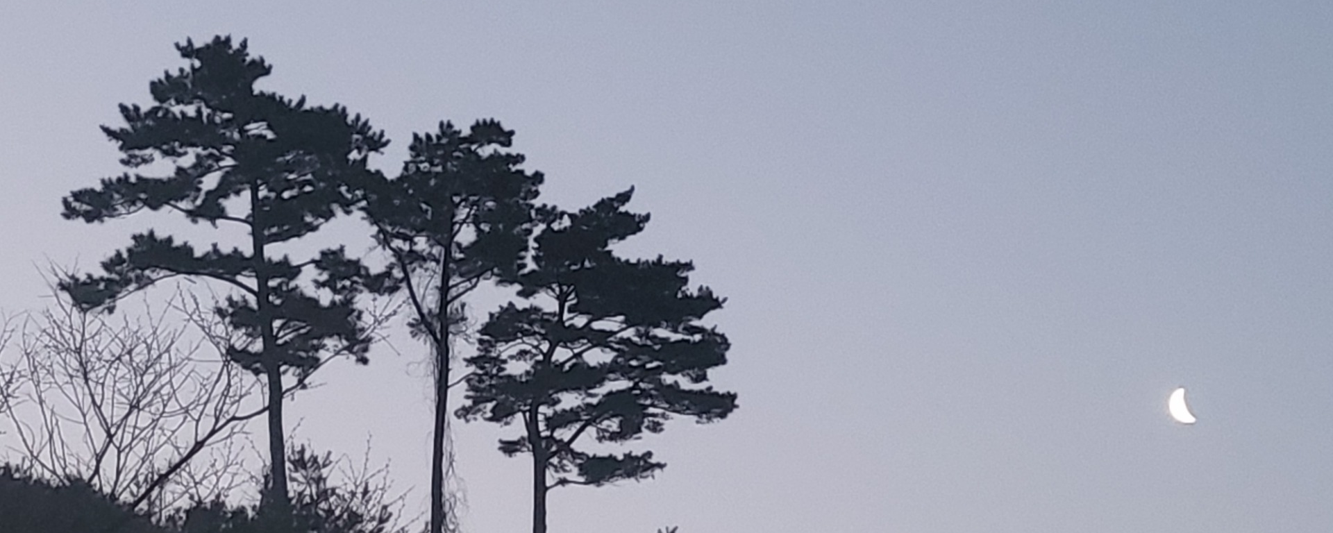 강 박 스