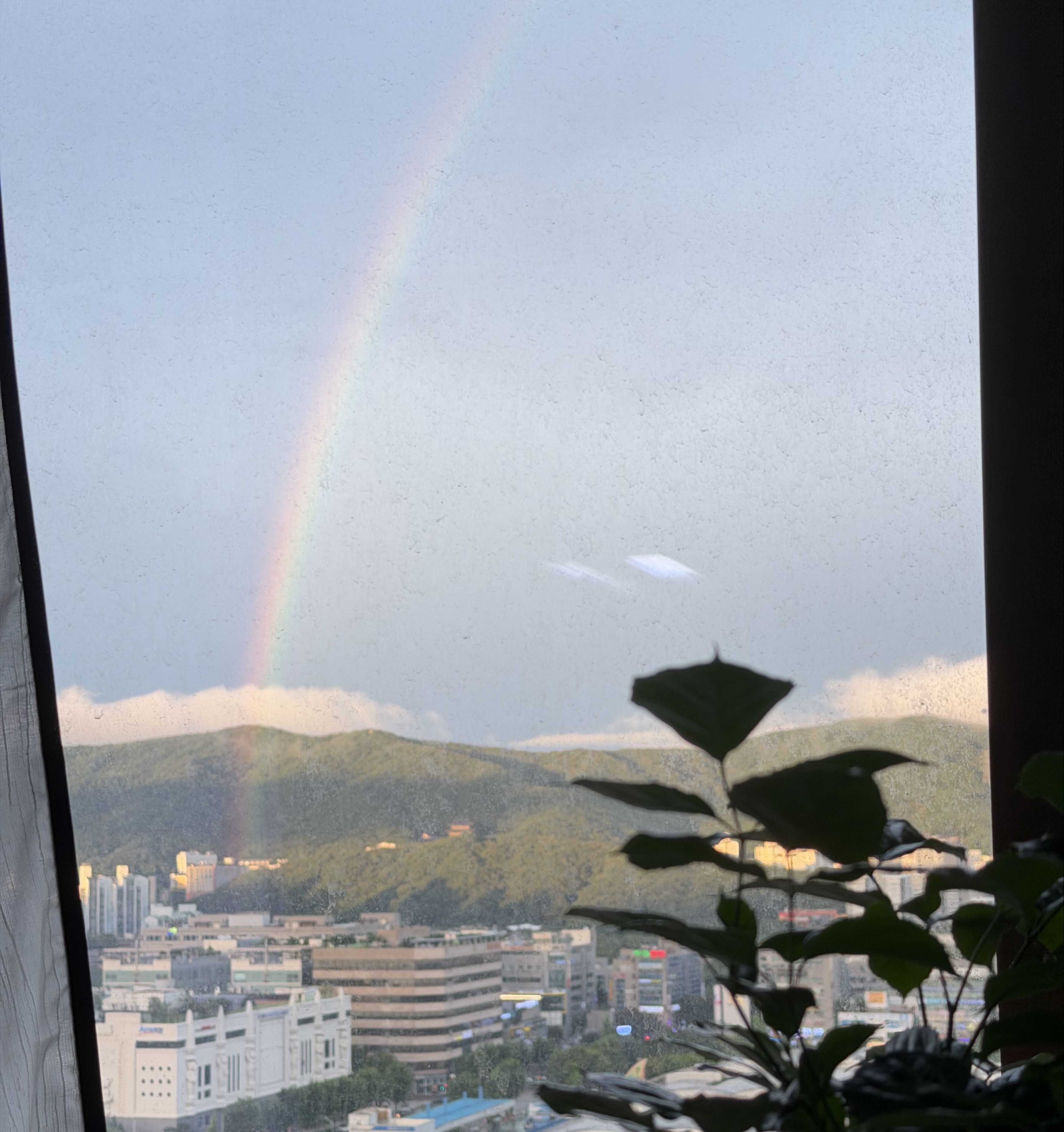 플라워