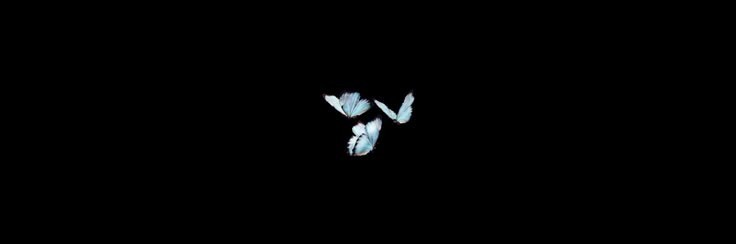 이 융